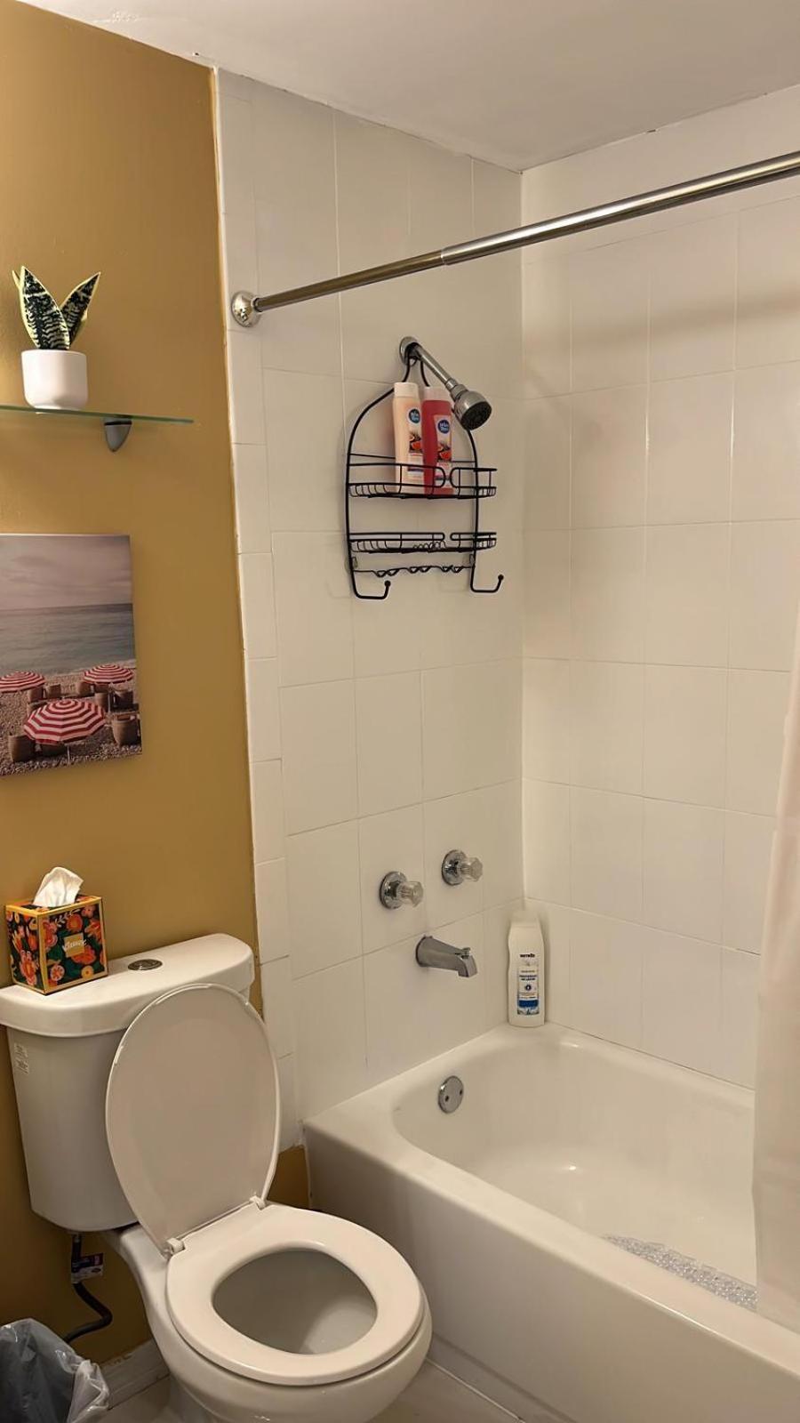 Beautiful, Fully Furnished 4Bed 2Bath House - 5 Minute Walk To Miracle Mile Downtown Coral Gables Villa Miami Exteriör bild