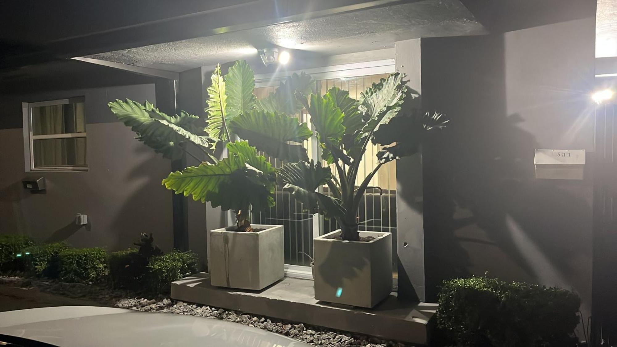 Beautiful, Fully Furnished 4Bed 2Bath House - 5 Minute Walk To Miracle Mile Downtown Coral Gables Villa Miami Exteriör bild
